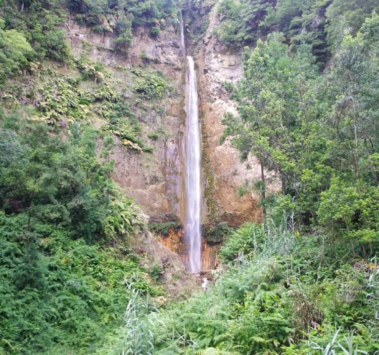 IMG-20180719-WA0029-01